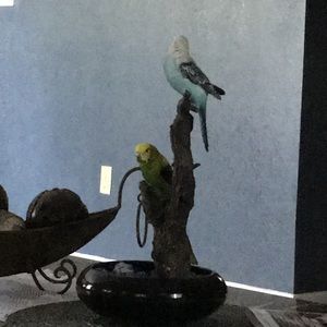 Meet your Posher, Liliana